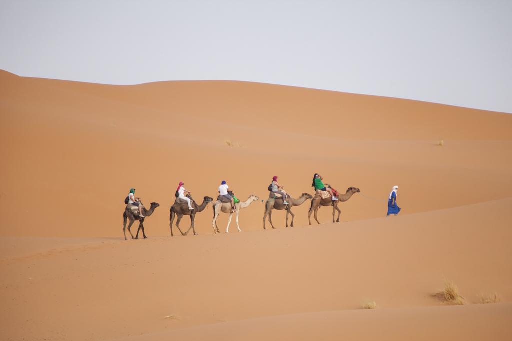 Riad Dar Sofian Zagora Bagian luar foto